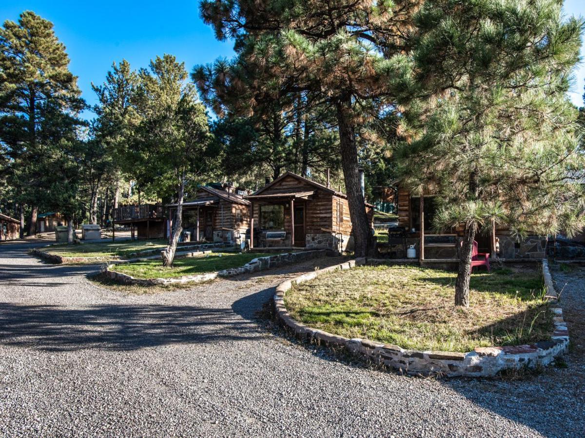 Alpine Cabin, 3 Bedrooms, Deck, Sleeps 8 Рюидозо Екстериор снимка